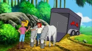 Bei einem Ausritt finden Bibi, Tina und Alex zwei herrenlose Lipizzaner, die in einem Pferdeanhänger eingeschlossen sind. Schnell befreien sie die Pferde und versorgen sie.
