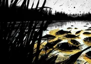 Sommer 2022: Etwa 1.000 Tonnen Fische ersticken in der Oder. Warum, bleibt lange ein Rätsel.
