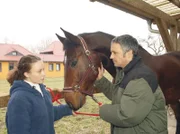 MDR Fernsehen IN ALLER FREUNDSCHAFT FOLGE 223, "Auf dem Sprung", Nicole Beyer (Lina Rabea Mohr) und ihr Vater Arno Beyer (René Hofschneider). Arno Beyer trainiert seine Tochter für die Olympiaqualifikation im Springreiten.