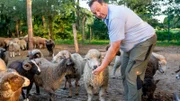 Ludger Bremehr mit einigen seiner unterschiedlichen Schafen.