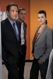 Ein neuer Fall beschäftigt Ziva (Cote de Pablo, r.), McGee (Sean Murray, M.) und DiNozzo (Michael Weatherly, l.) ...