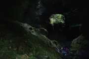 Das einzigartige Höhlensystem heißt Honeycomb Hill (Honigwaben Hügel). Hier befindet sich die größte Sammlung uralter Knochen, die jemals in Neuseeland entdeckt wurde.