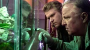 Spurensicherung am Tatort. In der Kanzlei des ermordeten Rechtsanwalts erkennt Kommissar Frank Thiel (Axel Prahl, r.) und sein Assistent Mirko Schrader (Björn Meyer, l.), dass auch das Aquarium in Mitleidenschaft gezogen wurde. Gute Nachricht: Die beiden Goldfische haben überlebt. Spurensicherung am Tatort. In der Kanzlei des ermordeten Rechtsanwalts erkennt Kommissar Frank Thiel (Axel Prahl, r.) und sein Assistent Mirko Schrader (Björn Meyer, l.), dass auch das Aquarium in Mitleidenschaft gezogen wurde. Gute Nachricht: Die beiden Goldfische haben überlebt.