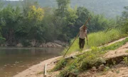 Hazen Audel collects bamboo to construct a raft.