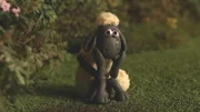 Shaun ist verliebt und ganz schön traurig. Was kann ihm da helfen?