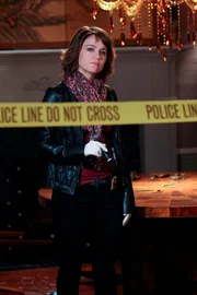 Det. Lindsay Messer (Anna Belknap)