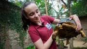 Inga beim Vermessen der Schildkröten