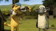 Shaun das Schaf Bitte lächeln 2