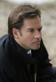 Versucht, den Hafenmörder zur Strecke zu bringen: Tony (Michael Weatherly) ...