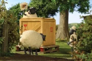 Guetnachtgschichtli Shaun das Schaf – Die Hundehütte Staffel 2 Folge 20 Haben eine neue Hundehütte bestellt.
