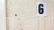 Akribische Spurensicherung am Tatort: Sogar ein Fleck an der Wand kann essenziell sein, um einem Verbrechen auf die Spur zu kommen.