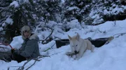 Alex Javor erntet Holz, während sein Hund Sipsey ihm Gesellschaft leistet. (National Geographic/David Lovejoy)