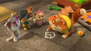 Metti hat sich ein spaßiges Spiel ausgedacht. Wer von den Buffycats wird gewinnen?