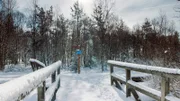 Zum Schutz der Tiere ist das schwarze Moor im Winter für Besucher gesperrt.