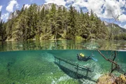 Was ist das für ein Ort, an dem Fische durchs Gras schwimmen und Blumen unter Wasser blühen? Die Dokumentation findet eine Erklärung für dieses wunderschöne und zugleich sonderbare Ereignis.