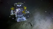 Die Tauchboote der OceanExplorer können bis zu 1000 Meter tief tauchen.
