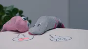 Eine Suchaktion, die die ganze Menschheit umtreibt! Wo ist die zweite Socke? Für alle einsamen Sockenseelen, die auf der Suche nach einem neuen Partner sind, gibt es sogar einen eigenen Gedenktag: den 9. Mai.