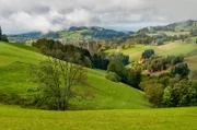 Black Forest landscape in Germany.