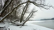 Donau im Winter.
