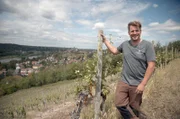 Winzer Matthias Schuh auf seinem Weinberg hoch über der Elbe. Entlang des Elbufers schlängelt sich die sächsische Weinstraße, eines der kleinsten und ältesten Weinanbaugebiete Deutschlands.