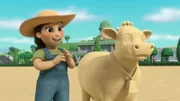 Farmer Yumi