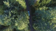Die Polizei fährt durch den Wald.