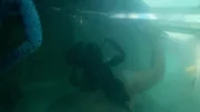 Joe Teti im Wasser.