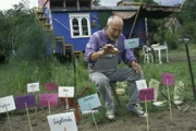 Peter (Peter Lustig) hat verschiedene Kartoffelsorten gepflanzt: Sieglinde, Hela, Cosima, Clivia, Saskia und noch viele andere. Um sie bei der Ernte nicht zu verwechseln, markiert er die Pflanzstellen mit Namensschildchen.