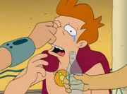 Fry