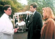 David Duchovny, Gillian Anderson