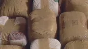 Herreras größter Coup: Für das Sinaloa-Kartell organisierte er den Schmuggel von rund 50 Tonnen Kokain.
