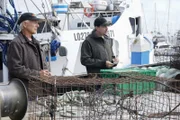 Leroy Jethro Gibbs (Mark Harmon, l.); Timothy McGee (Sean Murray, r.)