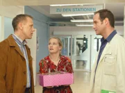 Norbert (Frank Leo Schröder) und Elke Peters (Gundula Köster) wollen ihre Tochter, die Geburtstag hat, in der Sachsenklinik besuchen. Dr. Kreutzer (Johannes Steck), Lisas behandelnder Arzt, teilt den Eltern die schreckliche Diagnose mit: Lisa ist an Leukämie erkrankt.