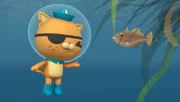 Kwasi macht Bekanntschaft mit Trudi, einem Drückerfisch.