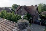 Der Weißstorch nistet auf dem Dach unweit der Elbauen, die ihm reiche Nahrung bieten.