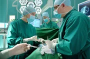 Als Theo Westermann mit einer Zaunspitze im Körper eingeliefert wird, muss er sofort operiert werden - aber es fehlt ein Chirurg. Chefärztin Dr. Kathrin Globisch hat seit etwa zehn Jahren nicht mehr operiert, doch ohne OP stirbt der junge Mann. Hans-Peter Brenner bietet seine Unterstützung an.