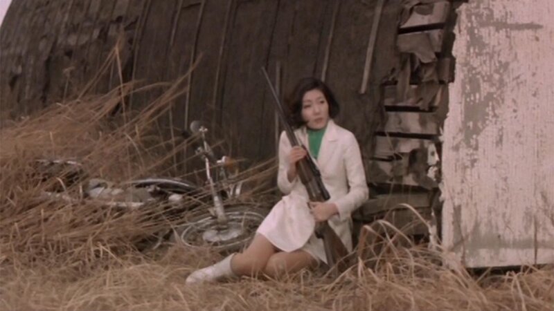 Terror - Die Rocker von Japan (J, 1969)