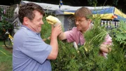 Als Benno (Willi Thomczyk, l.) sieht, dass Lothar (Rene Heinersdorff) eine Hecke zwischen den beiden Grundstücken gepflanzt hat, platzt ihm der Kragen. Ein heftiger Streit zwischen den Platznachbarn entbrennt...