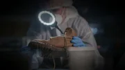 Forensiker auf Spurensuche
