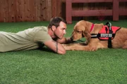 Der Hundetrainer Brandon McMillan hat es sich zur Aufgabe gemacht, schwer vermittelbare Hunde aus dem Tierheim zu holen, sie zu trainieren und für jedes Tier anschließend das passende neue Zuhause zu finden ...