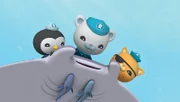 Käptn Barnius (Mi.) und Kwasi (re.) unterhalten sich mit Mantarochen Muriel, während Peso ihre verletzte Flosse verarztet.