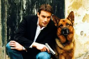 (5. & 6. Staffel) -  Kommissar Brandtner (Gedeon Burkhard) und Rex haben mal wieder etliche Verbrecher im Visier ...