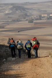 James, Deborah, Martin, Yorick.