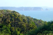 Die Küste von Chile erstreckt sich über mehr als 6.000 Kilometer und bietet eine atemberaubende Landschaft.