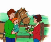 Mami, Papi und Rosie füttern das süße Pferd von Jonas.