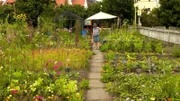 Bauerngarten in der Gartenstadt Bamberg.