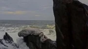 Im Juli 1977 wird am Strand von Rio eine Frauenleiche gefunden, eingewickelt in ein Laken und mit Steinen beschwert. Die Ermittlungen führen bis in die höchsten Kreise Brasiliens.