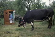Peter (Peter Lustig) sinniert in seinem Kloschrank darüber, welche Tierchen wohl dafür zuständig sind, die Kuhfladen aus seinem Garten zu entfernen.