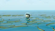 Peso findet an der Wasseroberfläche eine riesige Menge an Gelbbauchseeschlangen.