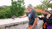 Die Geissens reisen nach Bali. Beim Besuch eines Affenparks wird Shanias Handy fast von einem der Tiere geklaut.